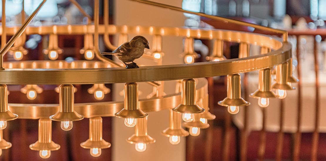 Can you spot our little feathered friend?